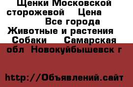 Щенки Московской сторожевой  › Цена ­ 25 000 - Все города Животные и растения » Собаки   . Самарская обл.,Новокуйбышевск г.